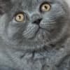 Best kittens ever photo 2