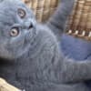 Best kittens ever photo 3