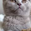 Best kittens ever photo 7