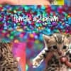 sundownbengals photo 1