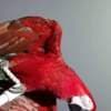 Green Wing photo 2