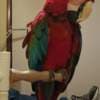 Green Wing photo 3