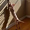 Young Adult Sphynx cats photo 2