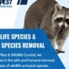 Best Pest & Wildlife Control photo 1
