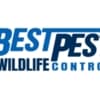 Best Pest & Wildlife Control photo 2