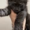 ReallyCoons photo 5