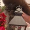 POMERANIAN BABIES LOOKING FOR MUMMY AND DADDY photo 9