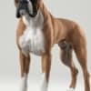Buy Personal Protection Dogs in USA | Pinnacle Protection Dogs photo 2