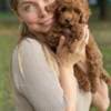 Maltipoo Puppies READY TO GO NOW photo 1