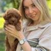 Maltipoo Puppies READY TO GO NOW photo 2