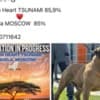 South African Mastiff - Boerboel puppies photo 1