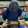 Hyacinth macaws for sale photo 3