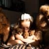 RED Dwarf Poodle  puppies for sale photo 3