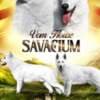White Swiss Shepherd puppies photo 10