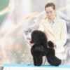 Toy Poodle  female puppy for sale photo 5