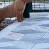 Dogue de Bordeaux puppies photo 7