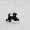 Toy Poodle female puppy photo 1