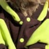 Brussels Griffon male puppies for sale photo 11