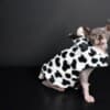 Sphynx Kittens For Sale photo 3
