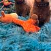 Toy Poodle puppies photo 4