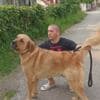 Bandog puppies for sale photo 8