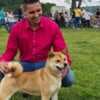 Shiba Inu puppies photo 9