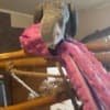 African Grey Parrots photo 4
