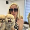 Pomeranian Spitz puppies photo 2