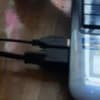 Syrian Hamster photo 4