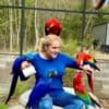 Macaw Parrots for Sale photo 2