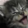 Maine Coon kittens photo 4