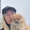 Pomeranian Spitz Puppies photo 4