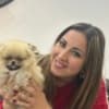Pomeranian Spitz Puppies photo 6