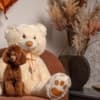 Red dwarf and toy poodles photo 2
