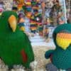 Tamed and lovely eclectus parrots for ready for new homes photo 3