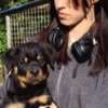 Rottweiler puppies for sale photo 1