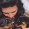 Rottweiler puppies for sale photo 9