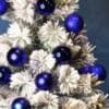 Pomeranian Spitz puppies photo 2