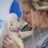 Bichon Frise Beautiful Puppies photo 13
