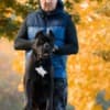 Cane Corso – Male for Sale photo 3