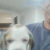 Beagle Beautiful Puppies photo 6