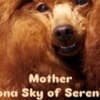 Red TOY POODLES, top litter of champion origin photo 5