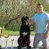 Cane Corso – Beautiful Puppies photo 7