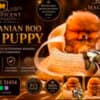 Pomeranians, exclusive puppies of Brazilian bloodline photo 3