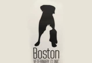 Boston Veterinary Clinic- Boston, New York