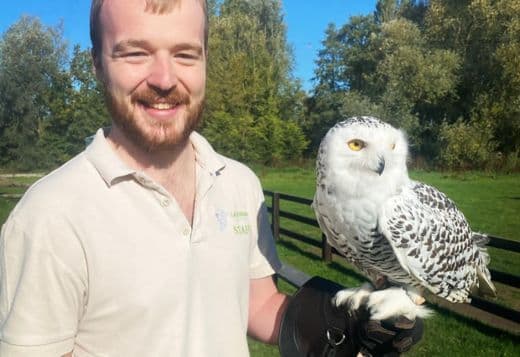 Nyla the Owl