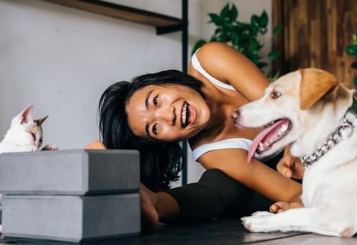 Felix and Fido