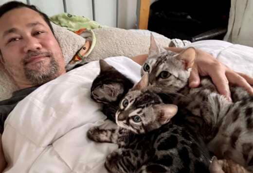 Bengal kittens , contact via email: (for.your.inquiries99@gmail.com)