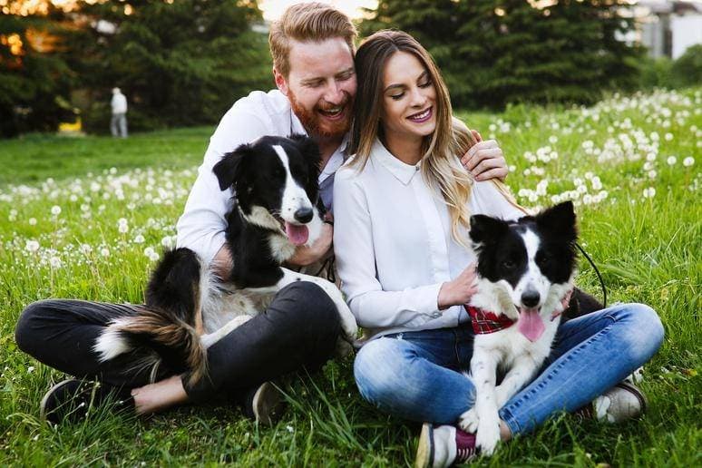 Ins and outs of dog's training in the family