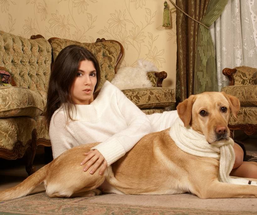The Pros and Cons of Keeping a Dog